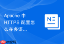 Apache 中 HTTPS 配置怎么在多语言站点中统一管理安全证书策略