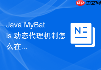 java mybatis 动态代理机制怎么在运行时自动生成 mapper 接口实现类