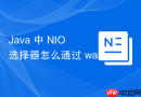 java 中 nio 选择器怎么通过 wakeup 方法唤醒阻塞的 select