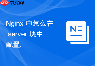 nginx 中怎么在 server 块中配置客户端请求体最大限制大小