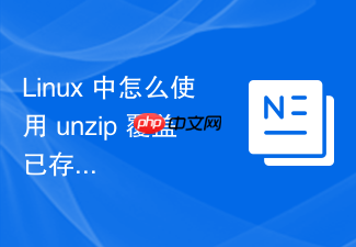 linux 中怎么使用 unzip 覆盖已存在文件的提示设置