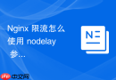 Nginx 限流怎么使用 nodelay 参数优化突发请求的处理响应