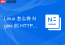 Linux 怎么将 Nginx 的 HTTP 请求强制重定向到 HTTPS