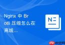 Nginx 中 Brotli 压缩怎么在离线内网环境中顺利完成源码模块编译