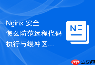 nginx 安全怎么防范远程代码执行与缓冲区溢出安全隐患