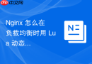 nginx 怎么在负载均衡时用 lua 动态选择健康状态最佳的节点