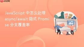 javascript 中怎么处理 async/await 隐式 promise 分支覆盖率