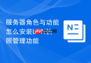 服务器角色与功能怎么安装LUN快照管理功能