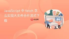 JavaScript 中 fetch 怎么实现大文件分片流式下载