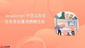 javascript 中怎么在宏任务里批量消费微任务