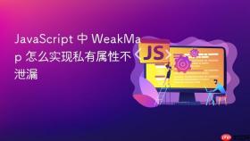 javascript 中 weakmap 怎么实现私有属性不泄漏