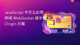 javascript 中怎么处理跨域 websocket 握手被 origin 拦截