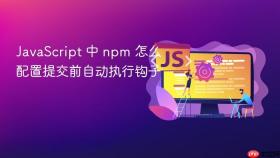 javascript 中 npm 怎么配置提交前自动执行钩子