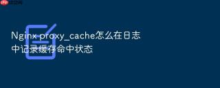 Nginx proxy_cache怎么在日志中记录缓存命中状态