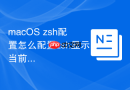 macOS zsh配置怎么配置zsh显示当前网络公网IP