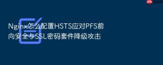Nginx怎么配置HSTS应对PFS前向安全与SSL密码套件降级攻击