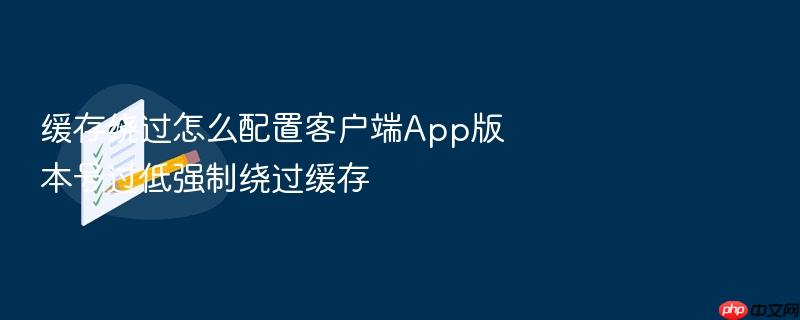 缓存绕过怎么配置客户端app版本号过低强制绕过缓存