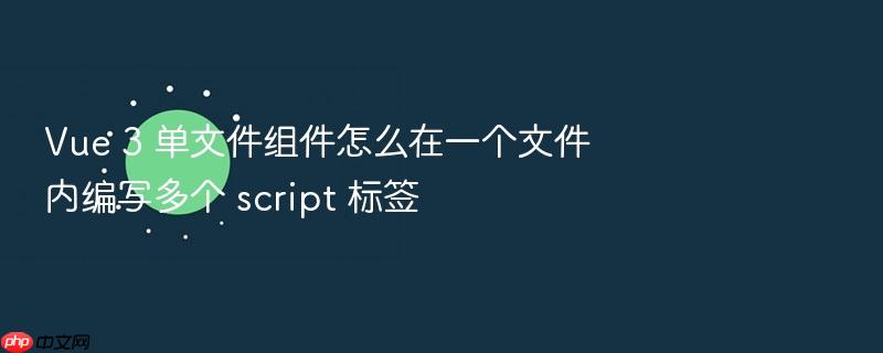 vue 3 单文件组件怎么在一个文件内编写多个 script 标签