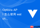 options api 怎么使用 watch 选项监听数据变化并执行异步副作用操作