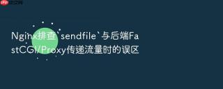 nginx排查`sendfile`与后端fastcgi/proxy传递流量时的误区