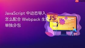 JavaScript 中动态导入怎么配合 Webpack 生成单独分包