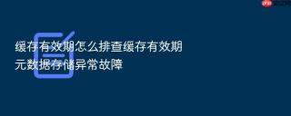 缓存有效期怎么排查缓存有效期元数据存储异常故障