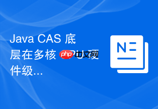 java cas 底层在多核 cpu 硬件级别怎么通过 `lock` 指令保证原子性