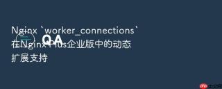 nginx `worker_connections`在nginx plus企业版中的动态扩展支持