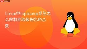Linux中tcpdump抓包怎么限制抓取数据包的总数