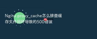 Nginx proxy_cache怎么排查缓存文件损坏导致的500错误