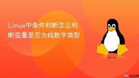 Linux中条件判断怎么判断变量是否为纯数字类型