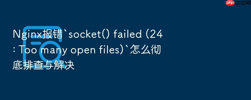 nginx报错`socket() failed (24: too many open files)`怎么彻底排查与解决
