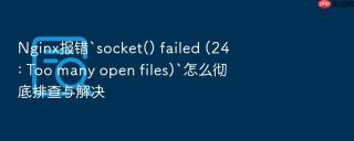nginx报错`socket() failed (24: too many open files)`怎么彻底排查与解决