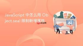 javascript 中怎么用 object.seal 限制新增属性