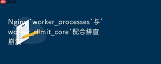 nginx `worker_processes`与`worker_rlimit_core`配合排查崩溃