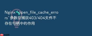 nginx `open_file_cache_errors`参数在捕获403/404文件不存在句柄中的作用
