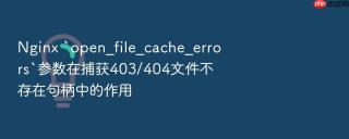 Nginx `open_file_cache_errors`参数在捕获403/404文件不存在句柄中的作用