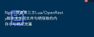 nginx排查第三方lua/openresty脚本未关闭文件句柄导致的内存与句柄双泄漏