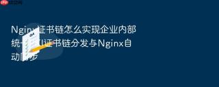 Nginx证书链怎么实现企业内部统一PKI证书链分发与Nginx自动同步