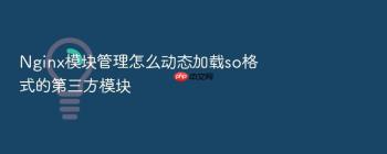Nginx模块管理怎么动态加载so格式的第三方模块