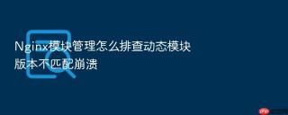 Nginx模块管理怎么排查动态模块版本不匹配崩溃