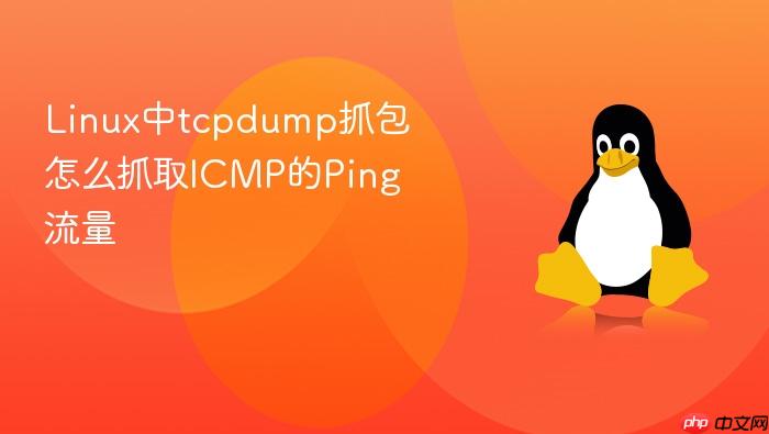 linux中tcpdump抓包怎么抓取icmp的ping流量