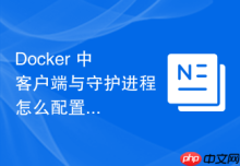 Docker 中 客户端与守护进程 怎么配置客户端专属IP访问