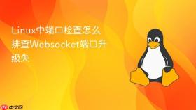 Linux中端口检查怎么排查Websocket端口升级失