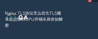 nginx tls协议怎么优化tls握手全过程的cpu开销与异步加解密