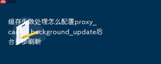 缓存失效处理怎么配置proxy_cache_background_update后台异步刷新