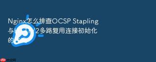Nginx怎么排查OCSP Stapling与HTTP/2多路复用连接初始化的冲突