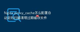 nginx proxy_cache怎么配置自动定时扫描清理过期缓存文件
