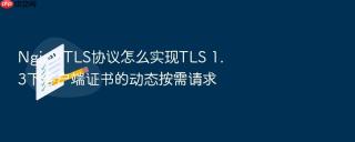 Nginx TLS协议怎么实现TLS 1.3下客户端证书的动态按需请求
