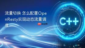 流量切换 怎么配置openresty实现动态流量调度